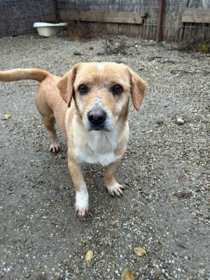 WhatsApp Bild 2025 11 20 um 14.05.02 d7451798