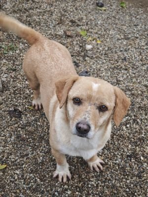 WhatsApp Bild 2025 11 20 um 14.05.33 410be3c8