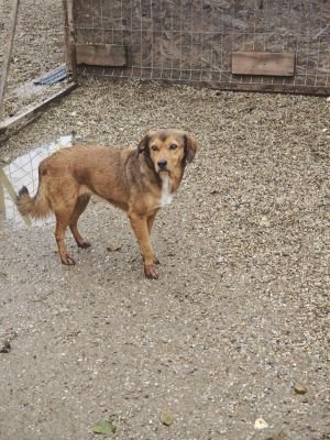 WhatsApp Bild 2025 11 20 um 14.07.20 4f83b0e6