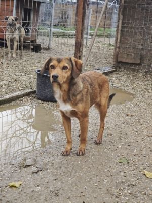 WhatsApp Bild 2025 11 20 um 14.07.26 869ad5dc