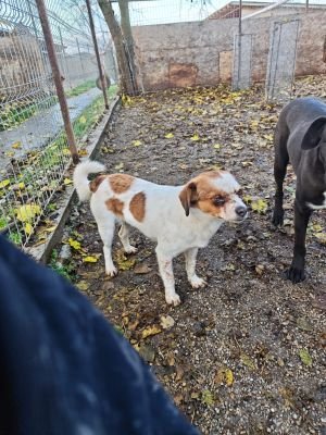 WhatsApp Bild 2025 11 22 um 10.38.28 2c93d0d7