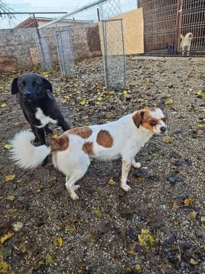 WhatsApp Bild 2025 11 22 um 10.38.28 570418cb