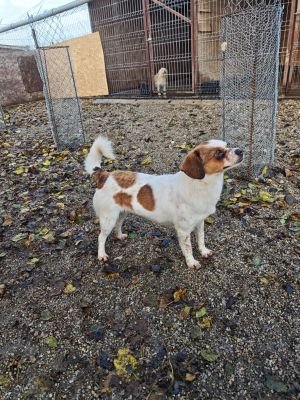 WhatsApp Bild 2025 11 22 um 10.38.28 bf4815f2