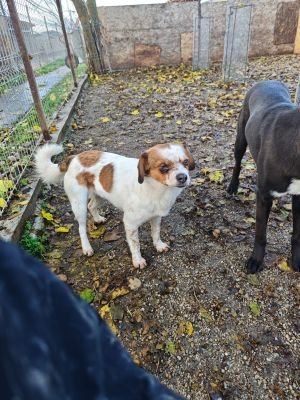 WhatsApp Bild 2025 11 22 um 10.38.29 0147efc8