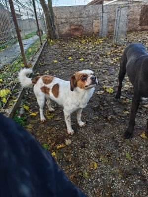 WhatsApp Bild 2025 11 22 um 10.38.29 1d0f09ef