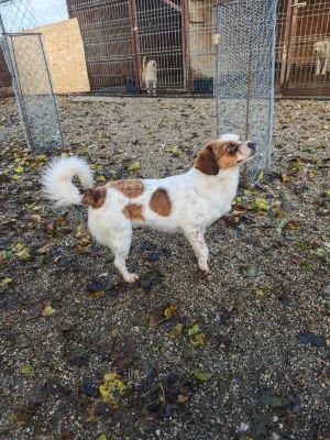 WhatsApp Bild 2025 11 22 um 10.38.29 cd477e68