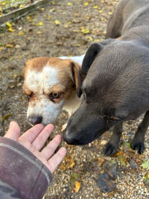 WhatsApp Bild 2025 11 22 um 10.40.11 8b7737d5