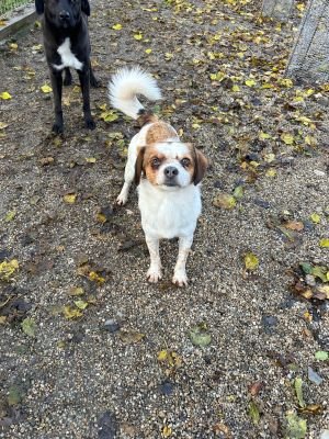 WhatsApp Bild 2025 11 22 um 10.40.11 c6c8f301