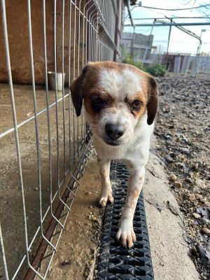 WhatsApp Bild 2025 11 22 um 10.40.12 b76187b0