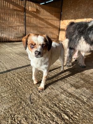 WhatsApp Bild 2025 11 22 um 10.40.13 b44df4a6