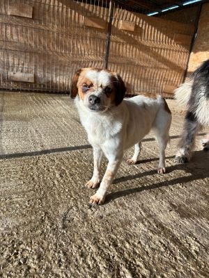 WhatsApp Bild 2025 11 22 um 10.40.13 e5defe30