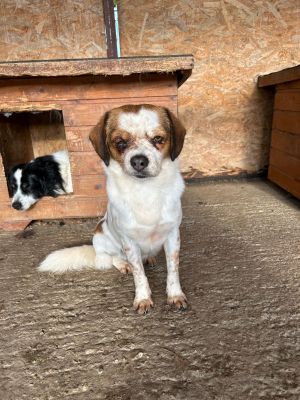 WhatsApp Bild 2025 11 22 um 10.40.14 6d89ecb1