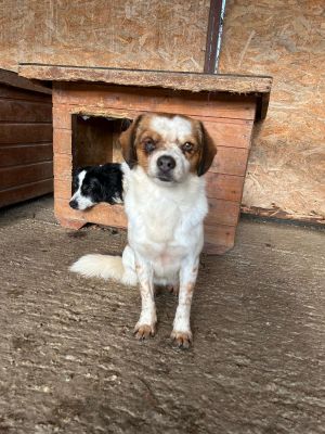 WhatsApp Bild 2025 11 22 um 10.40.14 d35122d1