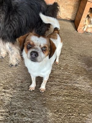 WhatsApp Bild 2025 11 22 um 10.40.14 fc19aca1