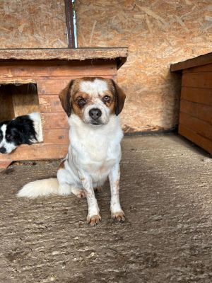 WhatsApp Bild 2025 11 22 um 10.40.15 966f2fa8