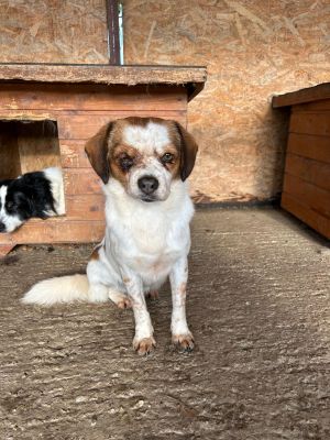 WhatsApp Bild 2025 11 22 um 10.40.15 b141258c