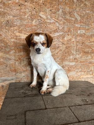 WhatsApp Bild 2025 11 22 um 10.40.15 d2feee4b