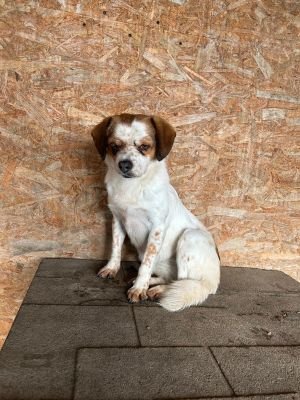 WhatsApp Bild 2025 11 22 um 10.40.16 140bbcab