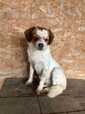 WhatsApp Bild 2025 11 22 um 10.40.16 903f9dd2