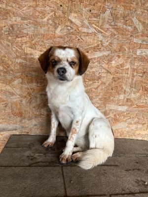 WhatsApp Bild 2025 11 22 um 10.40.16 966e3fa6