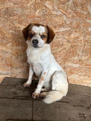 WhatsApp Bild 2025 11 22 um 10.40.17 054ce003