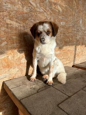 WhatsApp Bild 2025 11 22 um 10.40.17 77600f79