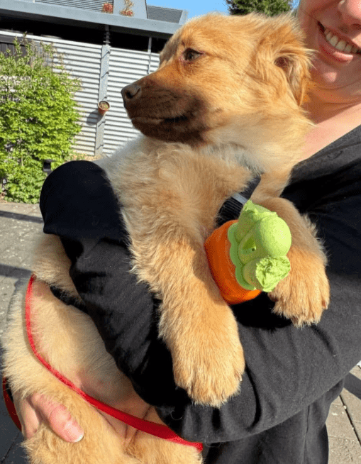 2025 04 23 06 54 49 flauschige karlie ❤️ sucht ihre lieblingsmenschen in nordrhein westfalen warbu