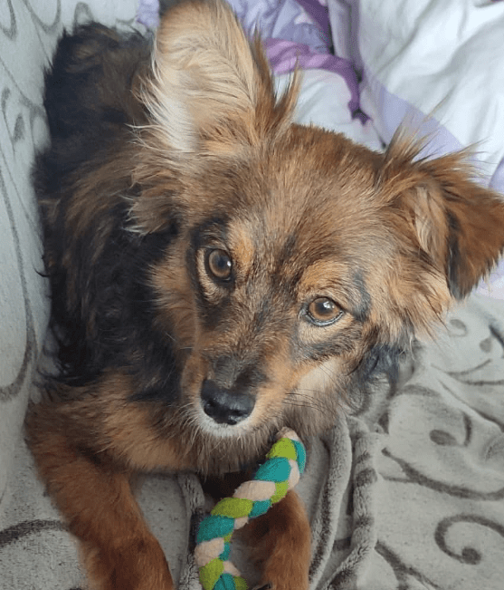 2025 05 05 19 02 25 sonnenschein zelda ❤️ sucht traumzuhause mit ❤️ in rheinland pfalz wackernheim