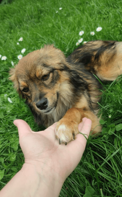 2025 05 05 19 02 29 sonnenschein zelda ❤️ sucht traumzuhause mit ❤️ in rheinland pfalz wackernheim