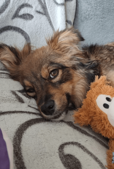 2025 05 05 19 02 39 sonnenschein zelda ❤️ sucht traumzuhause mit ❤️ in rheinland pfalz wackernheim