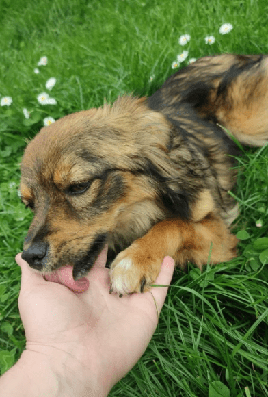 2025 05 05 19 02 44 sonnenschein zelda ❤️ sucht traumzuhause mit ❤️ in rheinland pfalz wackernheim