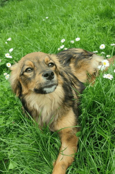 2025 05 05 19 02 49 sonnenschein zelda ❤️ sucht traumzuhause mit ❤️ in rheinland pfalz wackernheim
