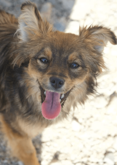 2025 05 05 19 03 03 sonnenschein zelda ❤️ sucht traumzuhause mit ❤️ in rheinland pfalz wackernheim