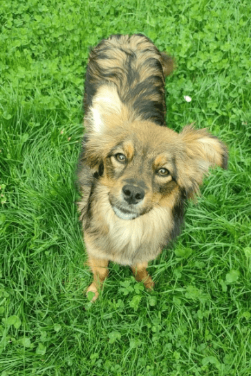 2025 05 05 19 03 13 sonnenschein zelda ❤️ sucht traumzuhause mit ❤️ in rheinland pfalz wackernheim