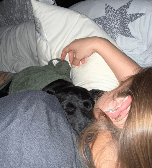 2025 05 05 19 09 56 traumhündin aponi ❤️ möchte in dein leben tapsen in nordrhein westfalen kempen