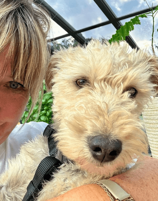 2025 05 26 09 45 15 fröhlicher olibert ♥️ möchte dich verzaubern in niedersachsen isernhagen mis