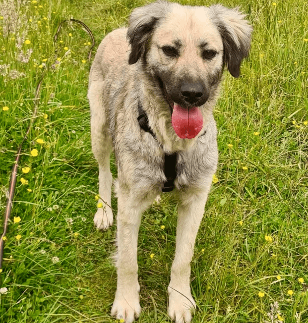2025 06 10 16 56 28 bildschöne ciami ❤️ sucht ihre lieblingsmenschen in niedersachsen wedemark m