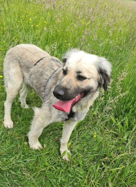 2025 06 10 16 56 38 bildschöne ciami ❤️ sucht ihre lieblingsmenschen in niedersachsen wedemark m