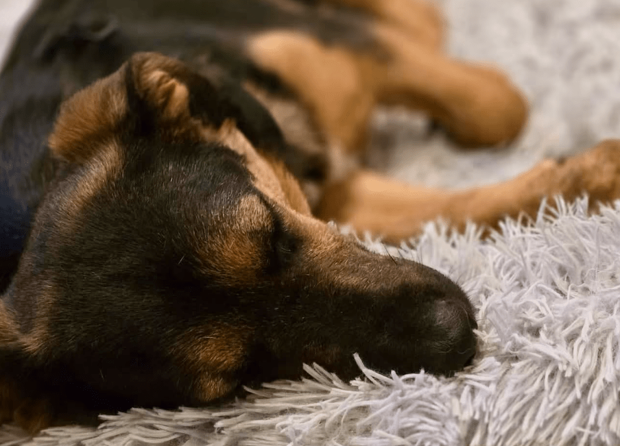 2025 11 06 11 15 12 ppm project initiation document sap btp neu.pptx powerpoint