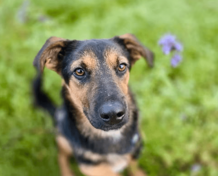 2025 11 06 11 15 29 ppm project initiation document sap btp neu.pptx powerpoint