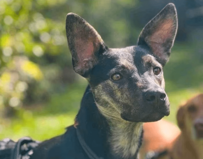 2026 01 26 10 59 11 Posteingang Sina.Rieke Kroeger@oetker.com Outlook