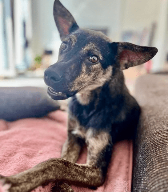 2026 01 26 10 59 15 Posteingang Sina.Rieke Kroeger@oetker.com Outlook