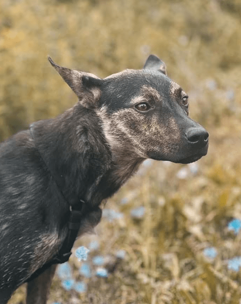 2026 01 26 10 59 23 Posteingang Sina.Rieke Kroeger@oetker.com Outlook