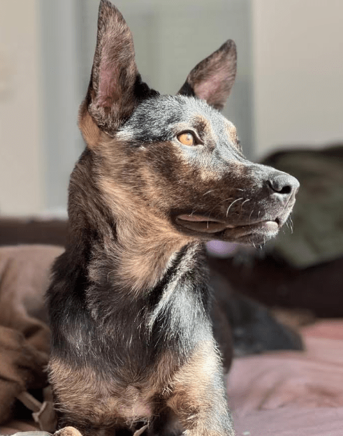 2026 01 26 10 59 26 Posteingang Sina.Rieke Kroeger@oetker.com Outlook