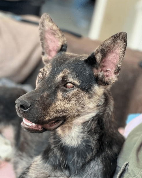 2026 01 26 10 59 31 Posteingang Sina.Rieke Kroeger@oetker.com Outlook