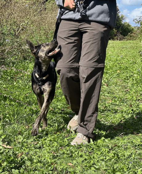 2026 01 26 10 59 46 Posteingang Sina.Rieke Kroeger@oetker.com Outlook