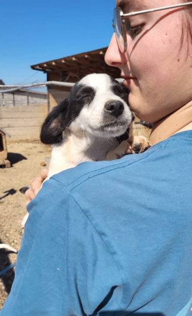 2025 05 19 10 10 02 yoda ❤️ süßester jedi auf 4 pfoten! in niedersachsen wedemark mischlinge und