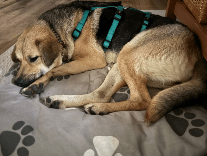 2025 05 26 09 03 25 sportliche peaches ♥️ sucht trainingspartner in niedersachsen heemsen mischl