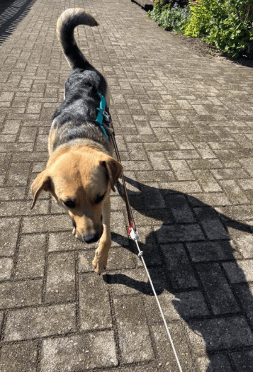 2025 05 26 09 03 36 sportliche peaches ♥️ sucht trainingspartner in niedersachsen heemsen mischl