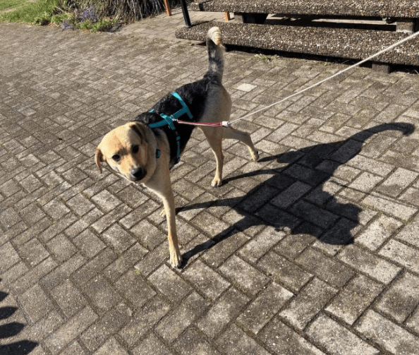 2025 05 26 09 03 40 sportliche peaches ♥️ sucht trainingspartner in niedersachsen heemsen mischl